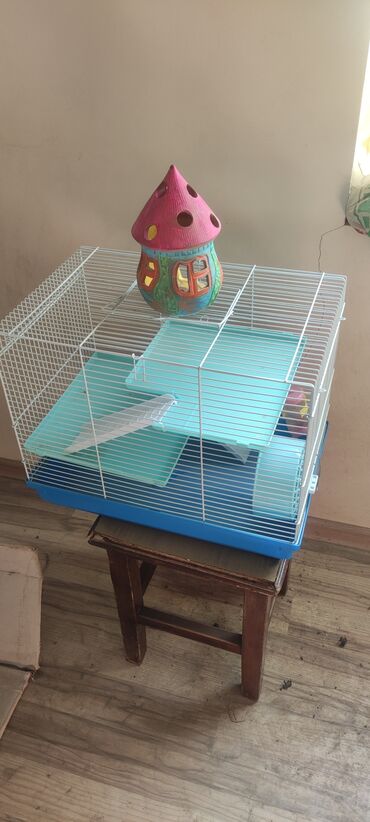 hamster qefes: Salam sarilir 1 ci,olan dag sicani icun 30man butun her seyi