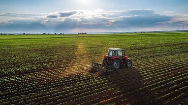 земля для сельского хозяйства: Для сельского хозяйства