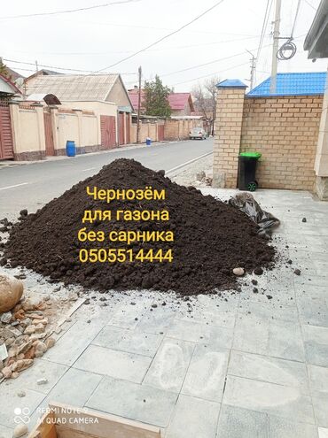 Песок: Чернозём Чернозём Чернозём рыхлый без сарника для газона сада огорода