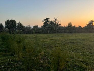 Продажа участков: 1700 соток, Для бизнеса, Красная книга — 16