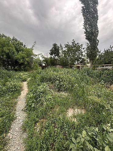 3: 📍В Сокулуке от трассы 100 метров ( верхняя зона ) продатся дом на — 6