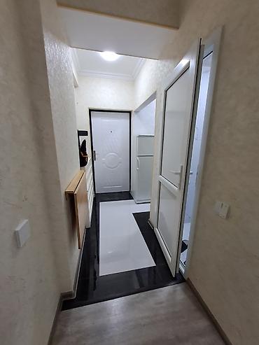 evlərin kirayəsi 1 otaqlı: 2 otaqlı, Yeni tikili, 31 kv. m — 2