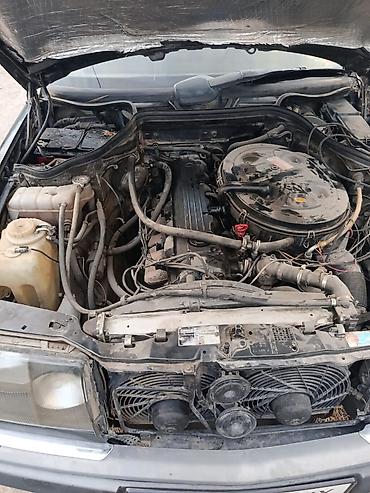 краска авто: Mercedes-Benz W124: 1990 г., 3 л, Бензин, Седан — 2