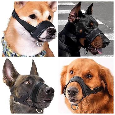 Зоотовары: ПРОДАЮ СУПЕР ПРОЧНЫЙ МЯЧЬ ДЛЯ СОБАК,А ТАК ЖЕ — 11