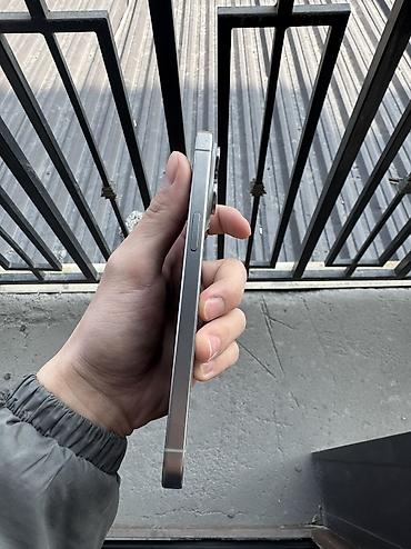 Apple iPhone: IPhone 15 Pro Max, 256 ГБ, Natural Titanium at lalafo.kg — 11 Apple iPhone: IPhone 15 Pro Max, 256 ГБ, Natural Titanium — 11