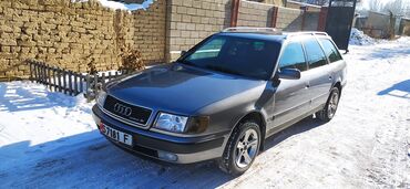 Audi: Audi 100: 1992 г., 2.8 л, Механика, Бензин, Универсал