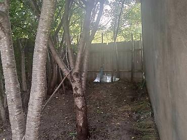 Продажа коттеджей и домов: Дача. Каракол - Михайловка. Небольшой одноэтажный дом с голубыми — 6