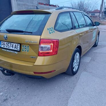 Skoda: Skoda Octavia: 1.4 l. | 2017 έ. 183000 km. Πολυμορφικό — 3