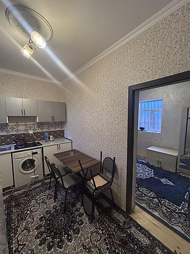 binede: 1 otaqlı, 25 kv. m, Yeni təmirli — 2