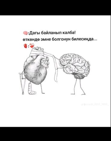 ищу работу бишкеке: Нужна работа с жильем.Меня зовут Мээрим мне 26лет я в Бишкеке