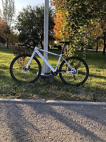 speedone frame: Гравийный/шоссейный велосипед с дроп-рулём - Рама: алюминиевая — 1