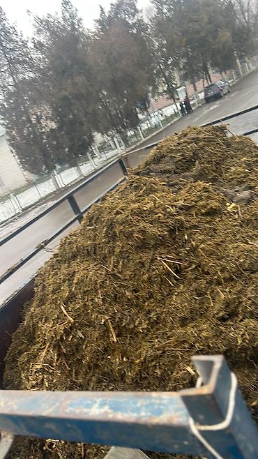 В продаже сенаж разнотравье. Цена указана с погрузкой at lalafo.kg В продаже сенаж разнотравье. Цена указана с погрузкой