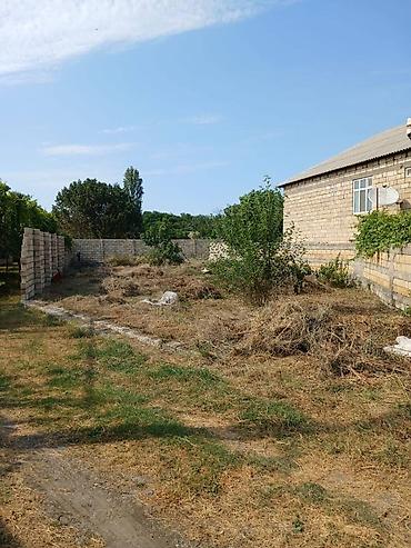 visnofkada torpaq: 5 sot, Tikinti, Mülkiyyətçi, Kupça (Çıxarış) — 3
