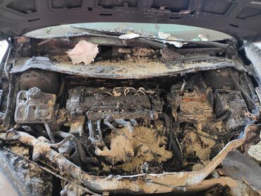 на опель вектра а: Ford Focus: 2006 г., 1.6 л, Автомат, Бензин, Седан