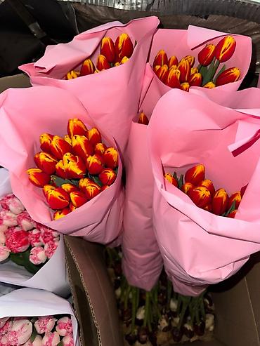 Букеты из живых цветов: Тюльпаны с луковицей Оптом | В розницу - Свежие тюльпаны с крупным — 7