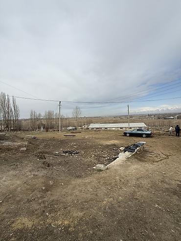 сары булун: Кой короо, 40 соток, Жабдууларсыз, Электр энергиясы, Жылытуу, Муздак суу — 4