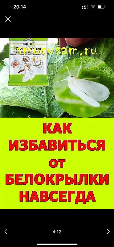 Дворники, садовники: 🌱Я садовник обработка сада ранее весенней обработка плодовых — 4