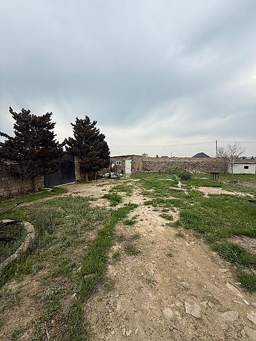 turkanda bağ: Bakı, Türkan qəs., 1 kv. m, 3 otaqlı, Hovuzsuz — 2