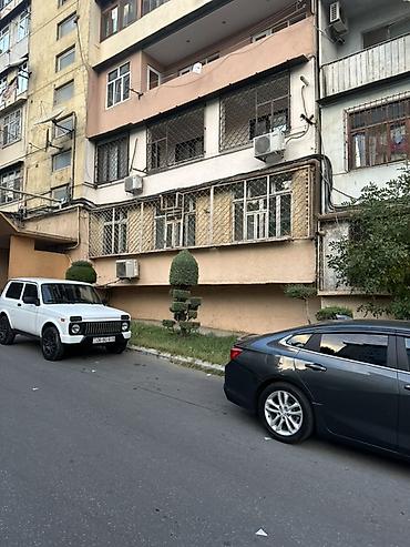 kiraye ev 250: Qızlar və tələbə xanımlar üçün universitetlər 18 saylı peşə liseyi — 1