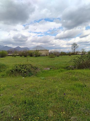 qalada torpaq: 5 sot, Tikinti, Mülkiyyətçi, Kupça (Çıxarış) — 3
