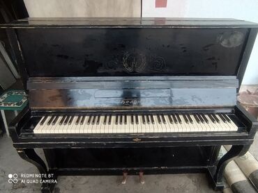 пианино ростов дон: Пианино Беларусь