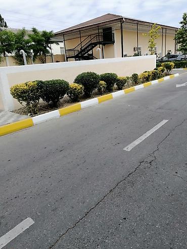 lan: Bağban, 44 yaş, 5 ildən artıq təcrübə — 3