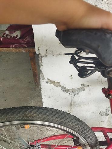 3 tekerli velosibet: Rabo 24 lük 5 6 manat xərci var təcili satılır qabaq arxa toplar təzə — 3