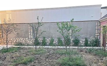 Uşaq və gənc otağı üçün dəstlər: Qız üçün, Yeni — 24