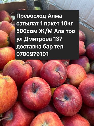 витаминдер: Превосход Алма сатылат 1 пакет 10кг 500сом Ала тоо 1.2.3 Ак ордо 1.2.3