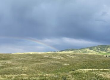 Сельхоз предприятия: Продаю Кошара, 50 соток, Действующий, Без оборудования, Электричество — 5