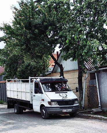 ось: Грузовой бортовой автомобиль Mercedes-Benz Sprinter (кабина + — 10