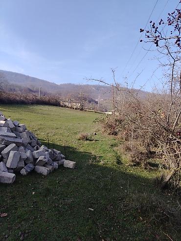 goranboy torpaq: 14 sot, Tikinti, Mülkiyyətçi, Kupça (Çıxarış) — 5