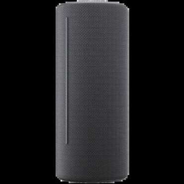 bežični mikrofon sa zvučnikom: Model: WE. HEAR 2 By Loewe Portable Speaker 60W, Storm Grey Cena