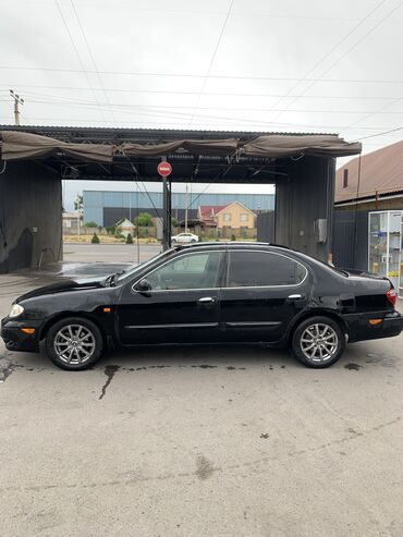 женские машины не дорогои: Nissan Maxima: 2003 г., 2 л, Автомат, Газ, Седан