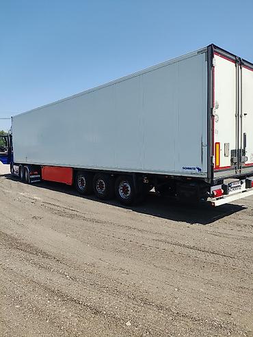 Транспорт: Рефрижераторный полуприцеп Schmitz Cargobull - Тип — 3