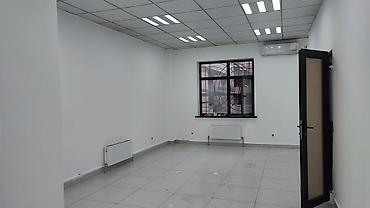 Покраска: Покраска стен, Покраска потолков, Покраска окон, На масляной основе, На водной основе, Больше 6 лет опыта — 2