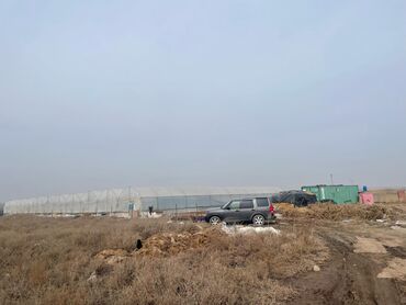 Долгосрочная аренда домов: 1000 соток, Для бизнеса