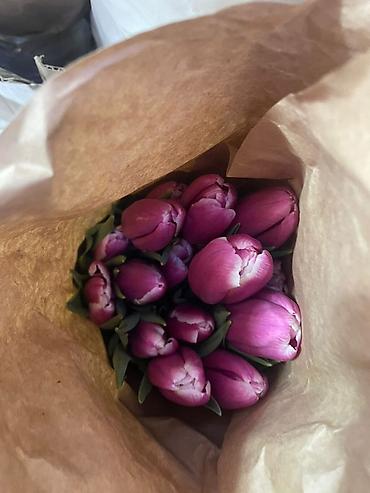 Букеты из живых цветов: Тюльпаны в крафт-упаковке - Срезанные тюльпаны с плотным бутоном — 1