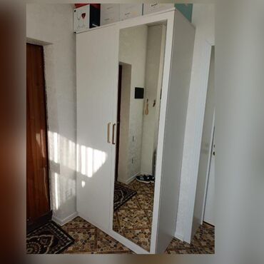 dehliz guzgusu: İşlənmiş, Açılan, 2 qapılı Düz dolab, Dəhliz dolabı