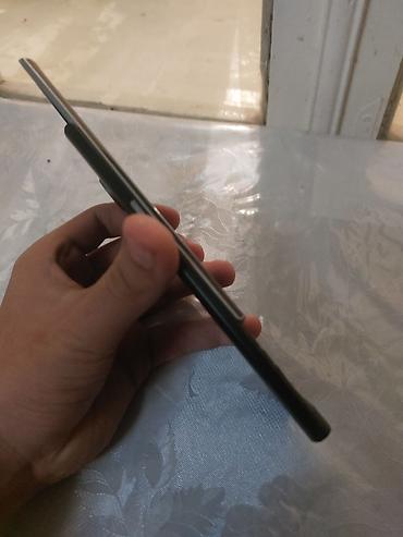 Ежевика: Ежевика Priv, цвет - Черный — 6