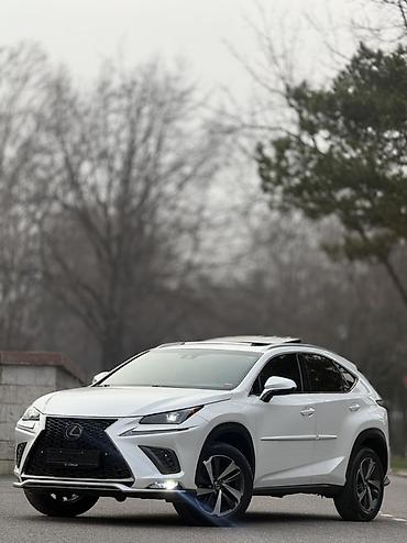 Lexus: Lexus NX: 2018 г., 2 л, Вариатор, Бензин, Кроссовер — 2