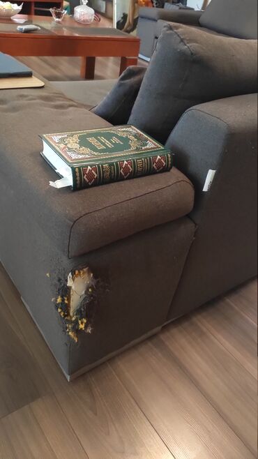 Kreslolar: İşlənmiş, Kreslo, Parça, Kredit yoxdur, Çatdırılma yoxdur — 6