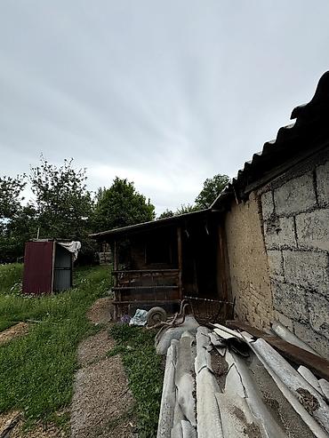 Продажа коттеджей и домов: 📌В самом центре села Беловодское срочно продается дом с времянкой на — 4