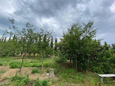 Bağ evlərinin satışı: Digah, 140 kv. m, 5 otaqlı, Kombi, Qaz, İşıq — 17