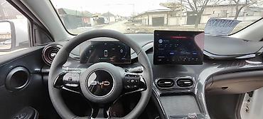 BYD: BYD E2: 2024 г., Автомат, Электромобиль, Хэтчбэк — 8