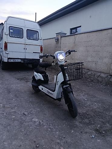 sea lion ev: Электроскутер Panda (белый)в хорошем состоянии, запас хода хвотает до — 1