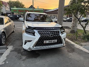 ремонт отбойник: Покраска и восстановление автомобильных бамперов - Полный цикл работ — 7