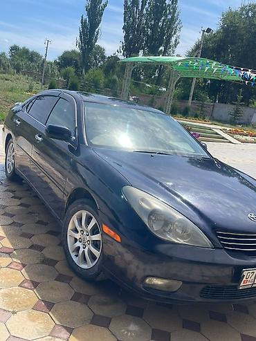 windom 2001: Toyota Windom: 2003 г., 3 л, Автомат, Бензин, Седан — 1