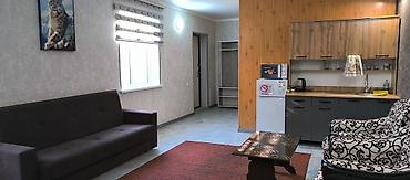 Гостиницы, отели (Посуточная аренда комнат): Сдаётся уютный номер-студия с полноценной мебелью и необходимыми — 11