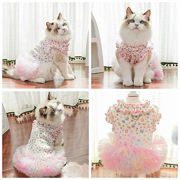 Зоотовары: Продаю новые ошейники для кошек,щенков и мелких пород собак по разным — 18